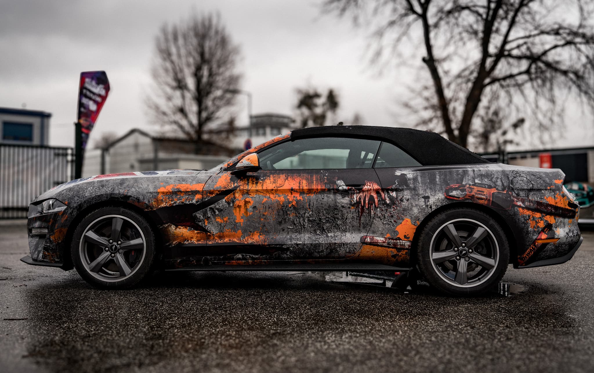 Horror Mustang — Bild 5