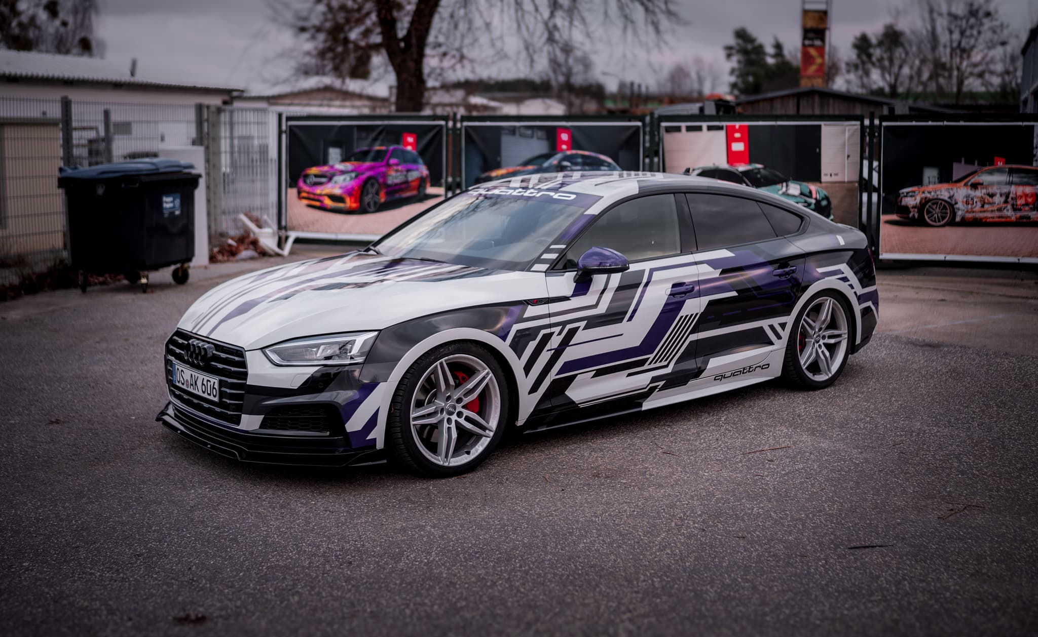 Audi Stripes