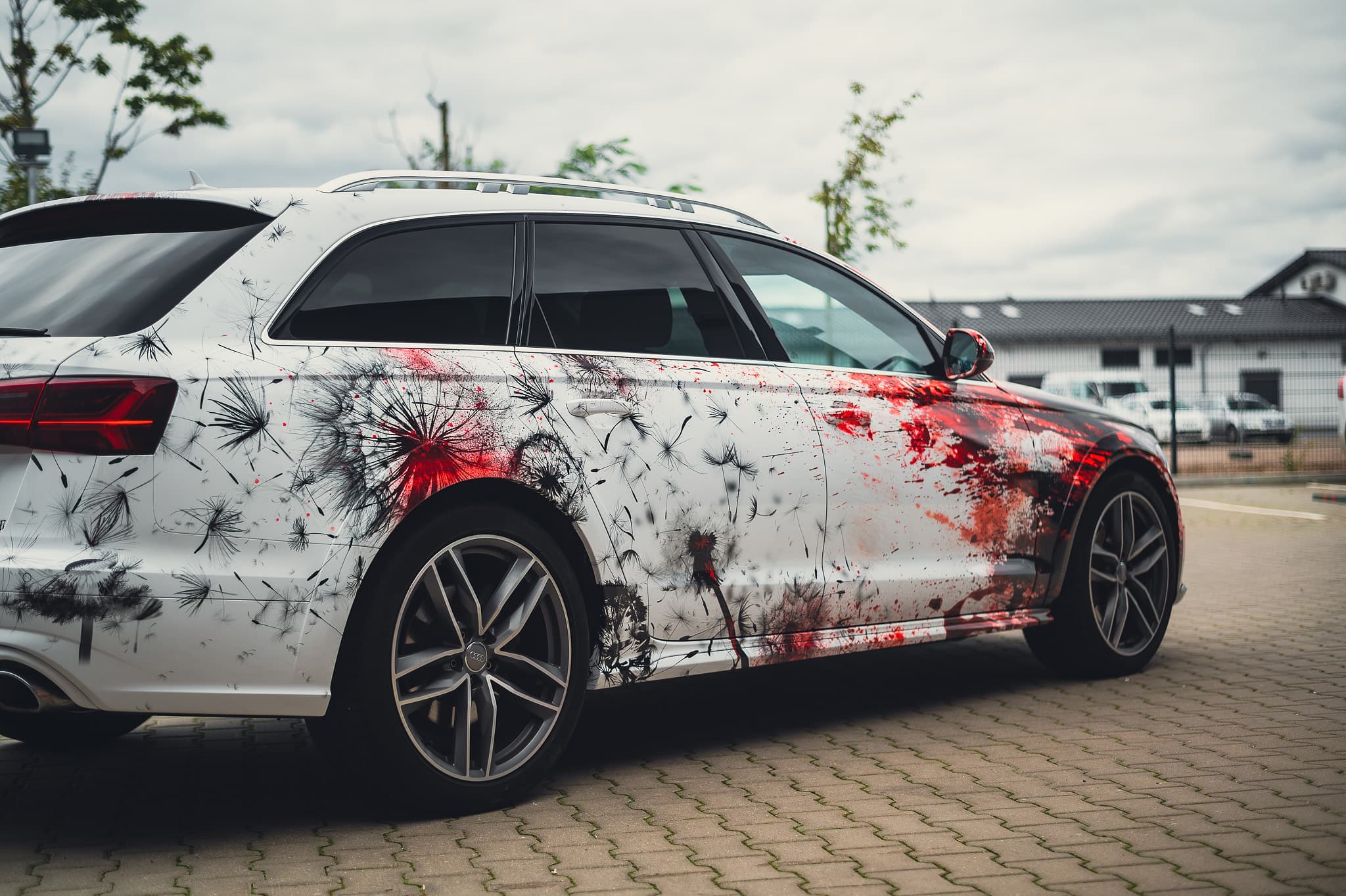 Bloody dandelions Audi — Bild 9