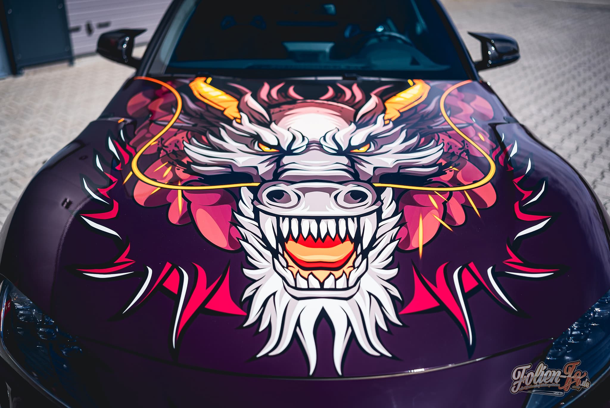 Supra Dragon — Bild 2