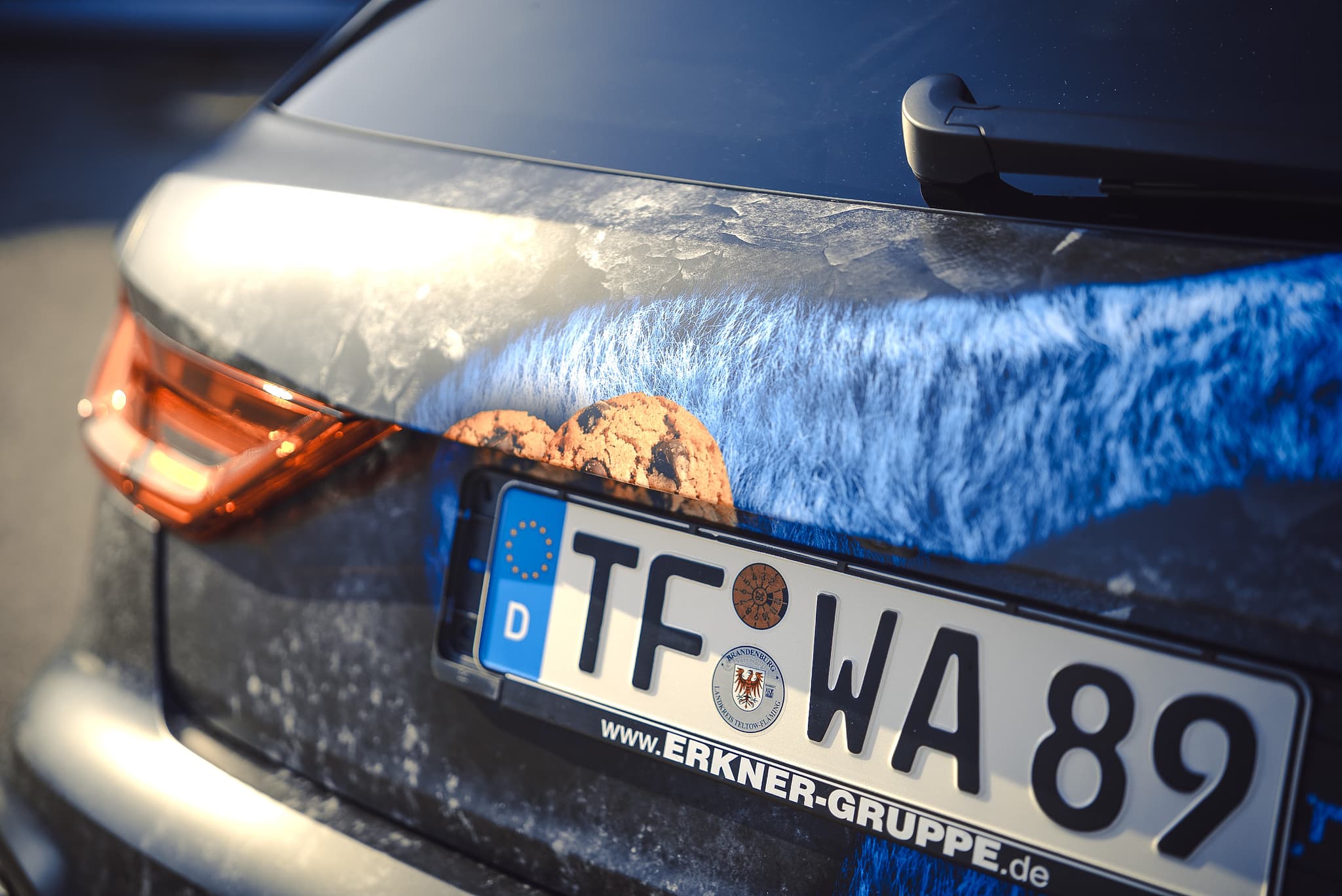 Audi Cookie Monster — Bild 8